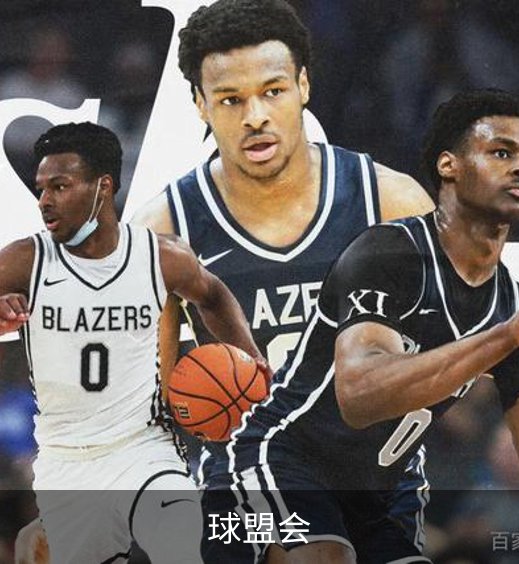 球盟会介绍